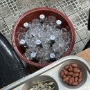 가맥천국