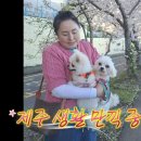 달콩이네