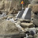 서귀동-19 이미지