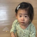 유림분식쎈타 이미지