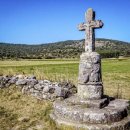 크로스핏 강남 삼성 이미지