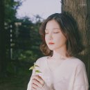 꽃그대