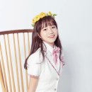 율 이미지