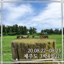 신의한모 여름맞이 20년 8월 3박4일 제주도 여행 기록 3,4일차 (옹포리, 성이시돌목장, <b>신의</b><b>한</b><b>모</b>)