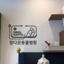 ​지순이네 하루하루 🐾 - 천안 불당동 정다운동물병원 방문기! 지순이 외음부 염증 치료받고 왔어요 😥