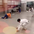 대한체육관 2도장(태권도) 이미지