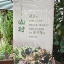 분당 서현동 맛집 건강밥상 율동공원 자연 담은 밥상 산촌~