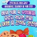 경주열린약국 이미지