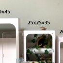 쥬라기아일랜드