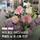 로즈박스 | 부천꽃집에서 만난 예쁜 부천꽃다발 ㅣ 센트오브로즈 방문 후기