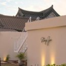 스테이달리 이미지