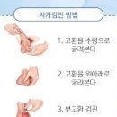 고환암 원인과 증상 진단검사 &amp; 자가검진 이미지