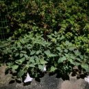 중리서로 이미지