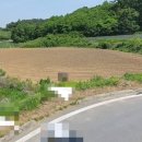 보현공인중개사사무소 이미지