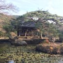 노화읍-4 | 완도와 보길도