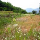 경북 문경시 마성면 외어리 / 임야 야산, 힐링센터용지 납골묘지 전원주택지 유실수식재부지 묘지용지 수련원부지 귀촌지 / 1 이미지