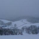 동선2목장 이미지