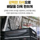 도구로 89-2 | 보온·보냉 완벽한 배달가방 찾는다면? 이지라이더 3세대 89L 실사용 후기 + 비교 분석까지 한눈에!