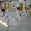 연성태권도장 이미지