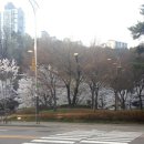 카페띠아모 남양주 호평점 호만천 산책 후 가기 좋은 카페