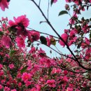 남원읍-12 이미지