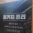 11680-181-101외 | [수원] 인계동 참치집 혼마구로코스 생참치 후기 "해신참치"