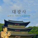 분당구미1-A-11 | [대광사] 분당 가볼만한곳 동양 최대 미륵대불 도량 다녀온 후기