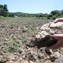 길상면-8 이미지