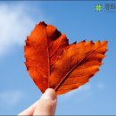 경희정한의원 이미지
