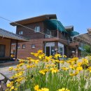 힐링일번지 이미지