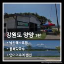 동해막국수 | 강원도 양양 여행 1탄. 낙산해수욕장과 동해막국수 후기 + 연어의추억 펜션 추천