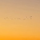 하단동1240 이미지