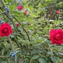 운심농장 이미지