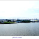 엘베강독일 이미지