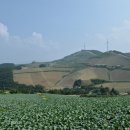 대기리마을 네이버블로그