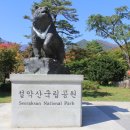 삼창주유소 이미지