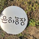 형제토끼농장 이미지