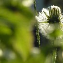 보석상자 이미지