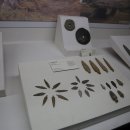 한남대학교 중앙박물관 이미지