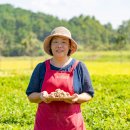 (주)누리팜 이미지