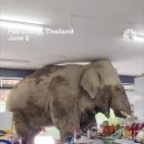 동네슈퍼 이미지