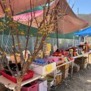 대소2리 다기능회관 | 경북 의성가볼만한곳 산수유 마을 산수유꽃 축제 3월 꽃구경