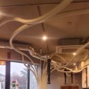 플라잉카우 이미지