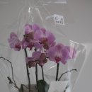 백승진농장 이미지