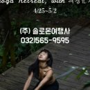솔로몬여행사 이미지