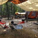 땅콩 게임장 이미지