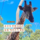 (주)북부현대공업사 | 푸꾸옥 빈펄사파리 주키퍼 동물원 먹이주기, VIP투어 주트램 차이