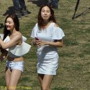 해이 이미지