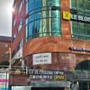 강남 역삼역 미용실 르블라썸 레이어드펌 솔직 후기