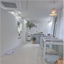 안아줄개 | 만촌동애견미용 안아줄개 추천 잘하는집